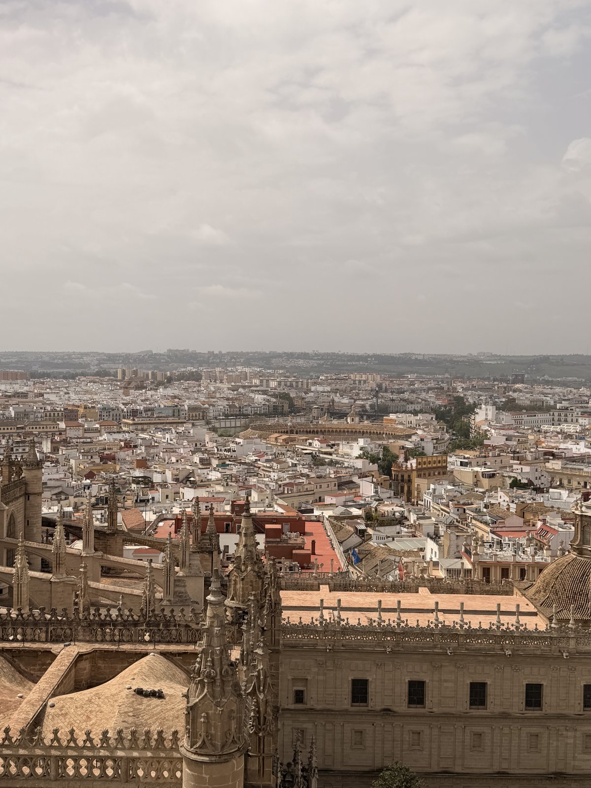 View over Seville's rooftops from the top of La Giralda