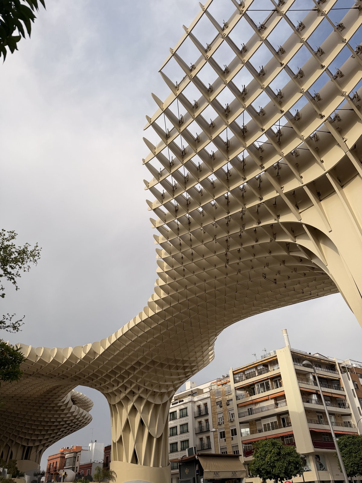 The mushroom-shaped wooden parasols of Las Setas seen from the plaza below