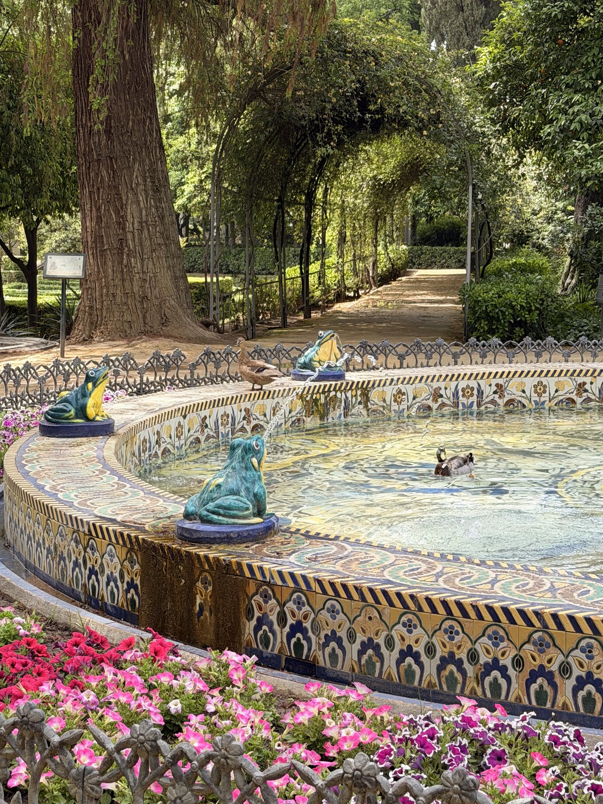 The tiled frog fountain in María Luisa Park with ducks and flowerbeds